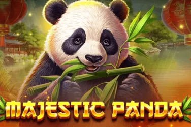 রামি ও ক্রীড়া বিনোদনের ভারসাম্য দৃশ্য